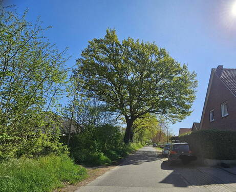 Spielstrasse - 