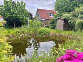 Gartenteich - 