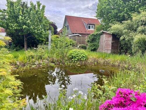 Gartenteich - 