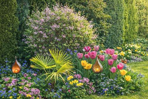 Gartenglück im Frühling - 