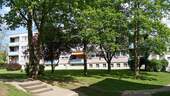 Albertstraße 2-4 Rückansicht eines Mehrfamilienhauses mit Balkonen in grüner Umgebung mit blühenden Bäumen im Vordergrund - Gemütliche 2-Zimmer-Wohnung in Fritzlar