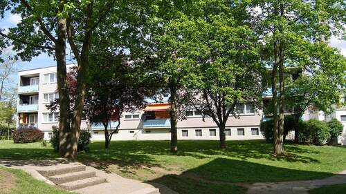 Albertstraße 2-4 Rückansicht eines Mehrfamilienhauses mit Balkonen in grüner Umgebung mit blühenden Bäumen im Vordergrund - Gemütliche 2-Zimmer-Wohnung in Fritzlar