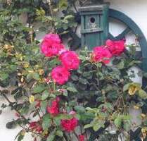 Bad Bevensen - Großzügige 2-Zimmer-Erdgeschosswohnung in 2-Parteien-Haus – überdachte Terrasse, Garage & ruhige Lage