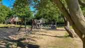 familienfreundlich gelegen - 