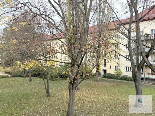 Blick in den Hofgarten - 