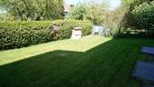 Gemeinschaftsgarten - 