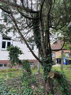 Hausansicht vom Garten - Ausbaufähiges kleines Mehrfamilienhaus mit Baulandreserve in verkehrsgünstiger Mahlsdorf Lage