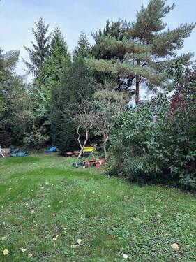Gartenansicht - Grundstück zum Kaufen in Berlin-Mahlsdorf