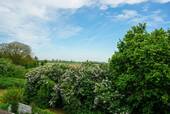 ... mit toller Aussicht - 