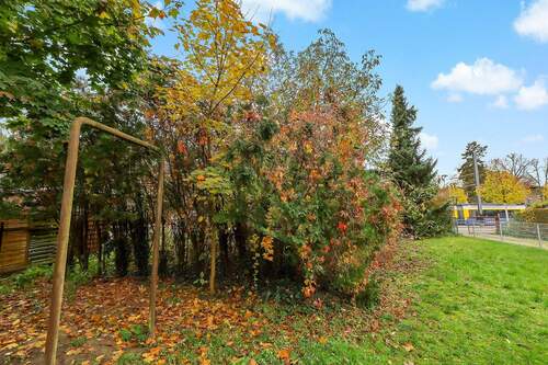 Bewachsung - Grundstück in Berlin