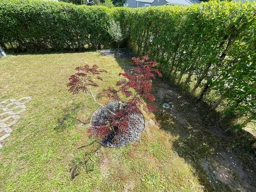Gartenareal - 