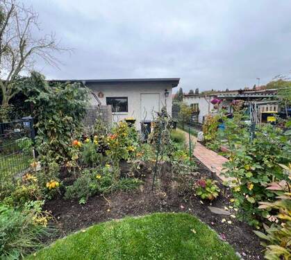 IMG_3362 Garten weg zur Garage.jpg - 