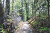 Fußweg zum Steg - Grundstück in Pöcking zum Kaufen