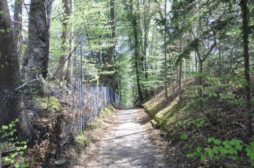 Fußweg zum Steg - Grundstück in Pöcking zum Kaufen