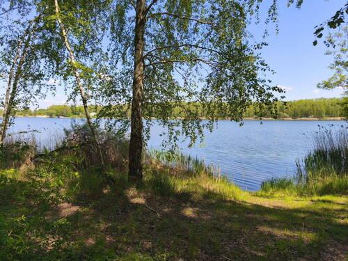 Zschornewitzer See - 
