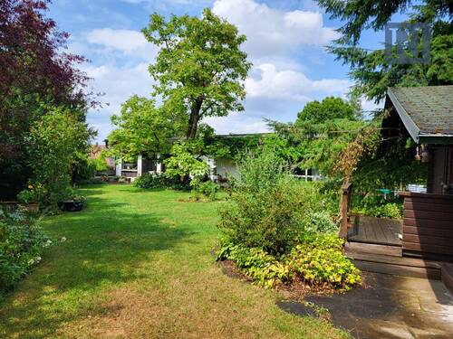 Garten im Sommer - 