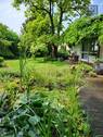 Garten im Sommer - 
