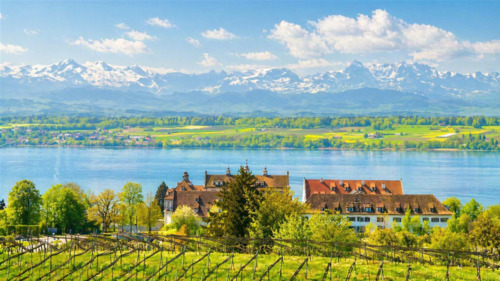 Schloss Kirchberg mit einmaliger Kulisse - 5 Zimmer Etagenwohnung zum Kaufen in Immenstaad am Bodensee