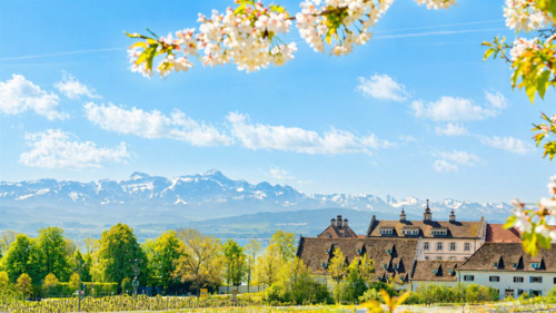 Schloss Kirchberg Umgebung - 5 Zimmer Etagenwohnung in Immenstaad am Bodensee