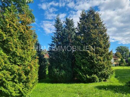 Bild 4 - Einfamilienhaus mit 85,00 m² in Doberschau zum Kaufen