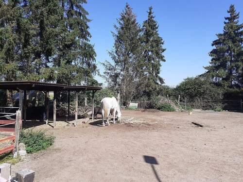 Hof hinterm Wohnteil.jpg - 