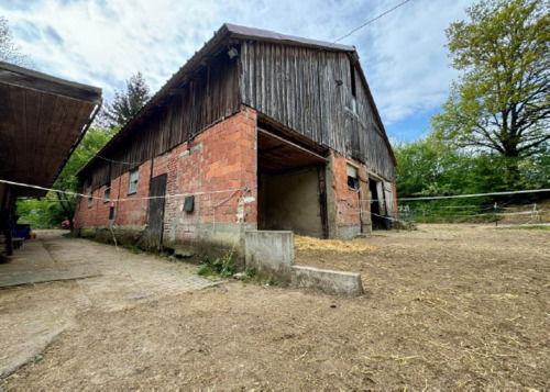 Screenshot 2025-07-19 065806.png - 