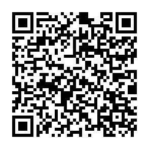 QR-Code - 