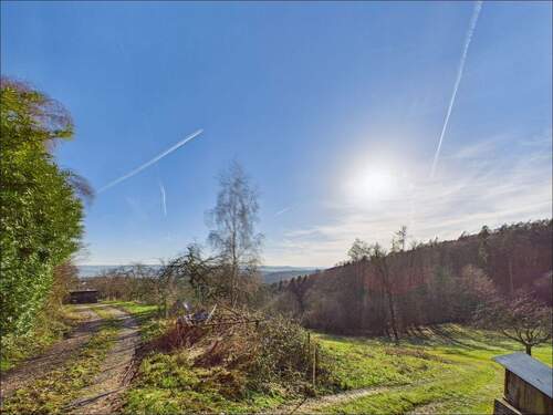 Ausblick - Einfamilienhaus zum Kaufen in Johannesberg