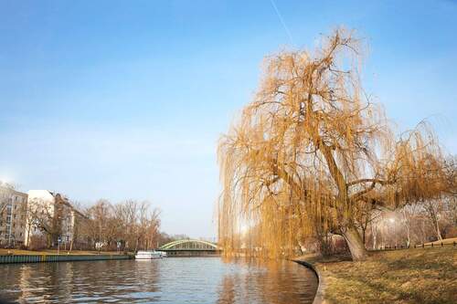Umgebung - 