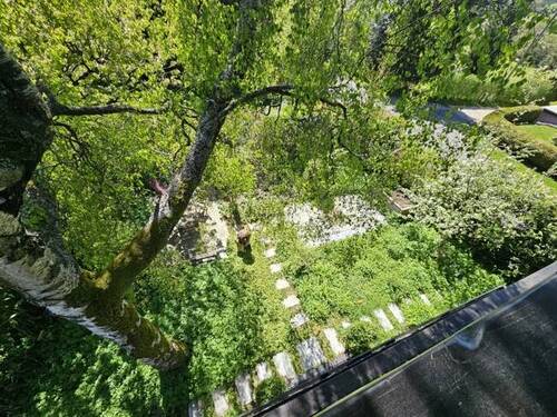 Garten - 