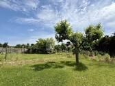 Gartenimpressionen - 