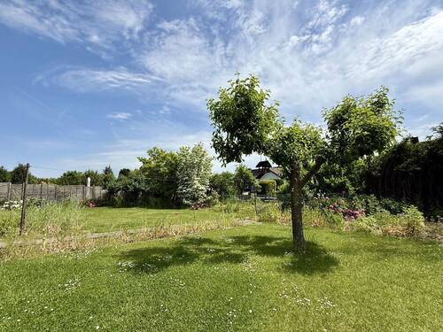 Gartenimpressionen - 