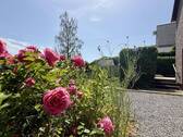 Gartenimpressionen - 