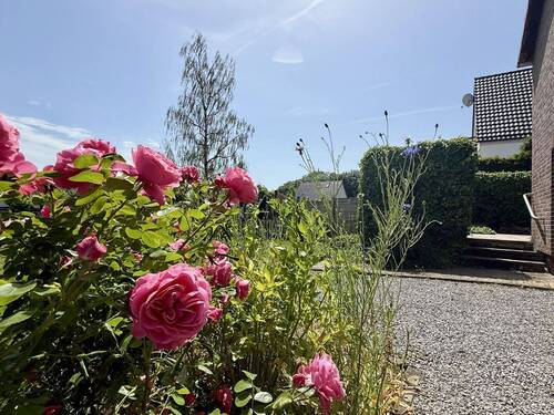 Gartenimpressionen - 