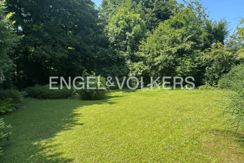 Natur pur - 