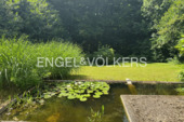 Seerosenteich - 