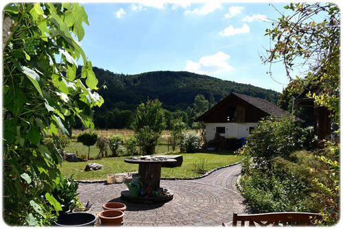 Bild3 - 5 Zimmer Einfamilienhaus in Vöhl