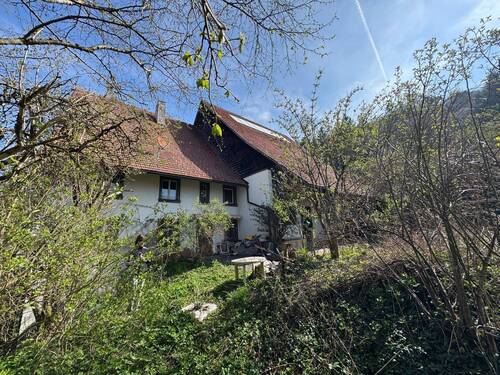 IMG_7230.jpeg - Bauernhaus, Landhaus in Bonndorf im Schwarzwald