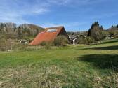 IMG_7233.jpeg - 