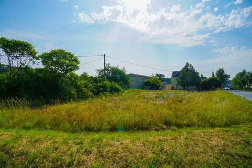 Blick nach Süden - Grundstück in Pirna zum Kaufen