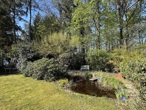 Gartenteich - 