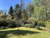 Blick in den Garten - 