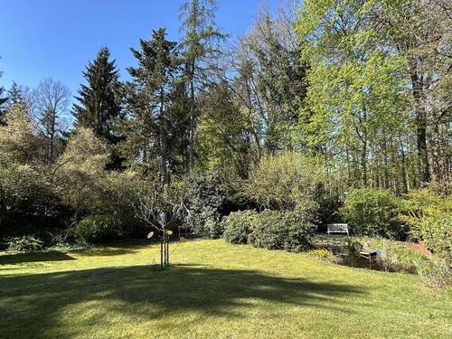 Blick in den Garten - 