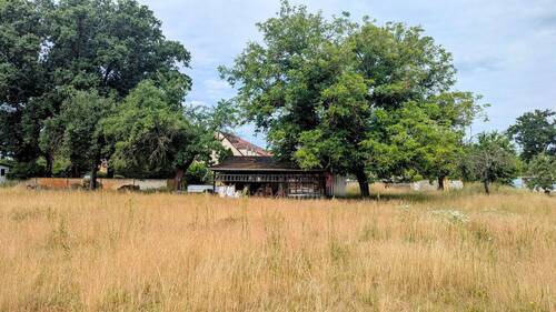 Grundstück und Schuppen - Grundstück zum Kaufen in Peickwitz