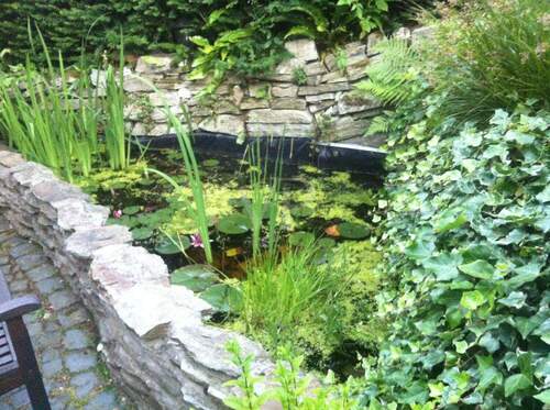 Kleiner Gartenteich - 