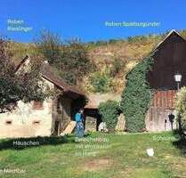 Kl. Weingut Vogtsburg-Bickensohl-Breisach + Wohnhs + Scheune + 2Rebterrassen + Löskeller + Sanierungskosten ca. 290T€ + hohes Steuersparen Denkmal - Vogtsburg im Kaiserstuhl