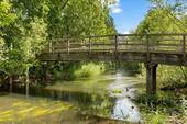 Ambiente - 