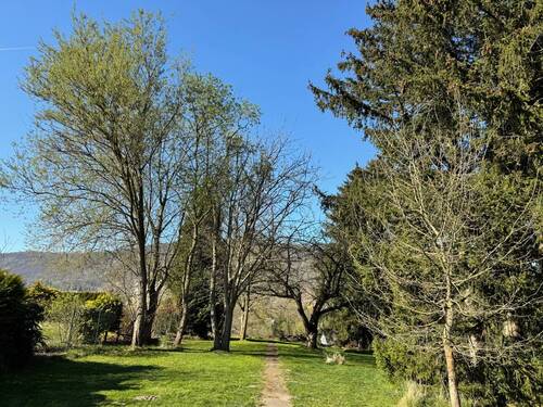 Idylle pur! - 