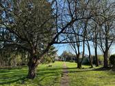 Garten mit Baumbestand - 