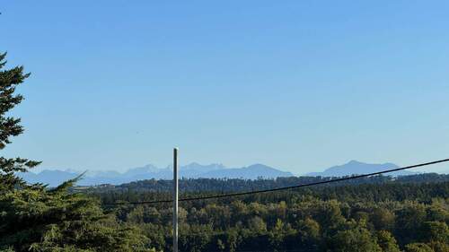 Bergblick - 